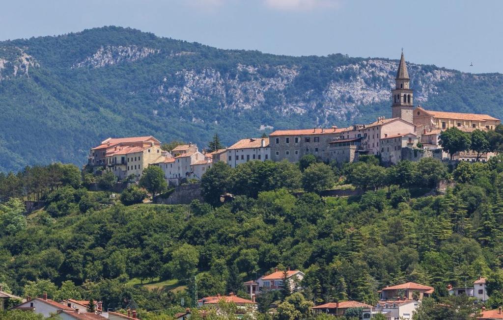 Ema Apartment Buzet Bagian luar foto